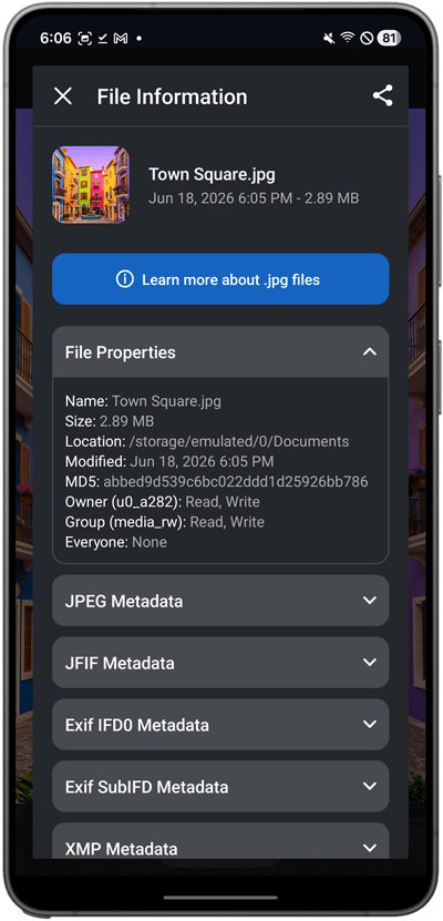 File Information
