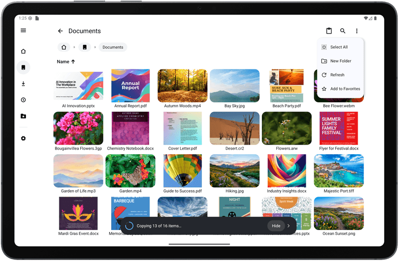 File Manager Tablet View