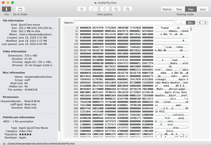 Hexadecimal View